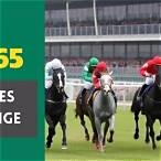 bet online horses
